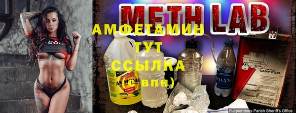 PSILOCYBIN Липки